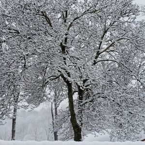 Meet your Posher, Rose